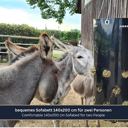 Ferien- Und Messewohnung Am Ponyhof 纽伦堡