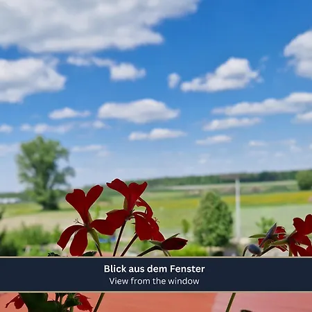 Ferien- Und Messewohnung Am Ponyhof *