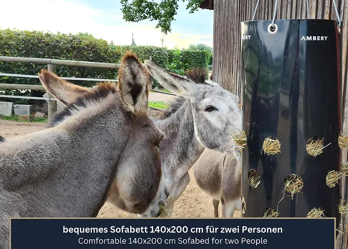 Ferien- Und Messewohnung Am Ponyhof Nürnberg