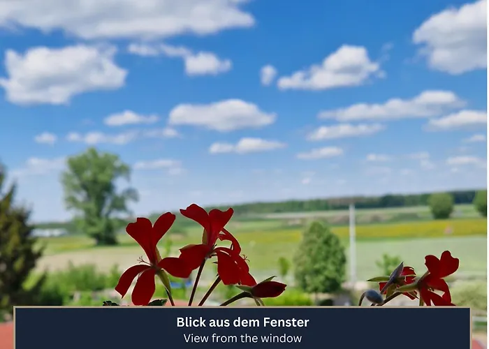 Ferien- Und Messewohnung Am Ponyhof *